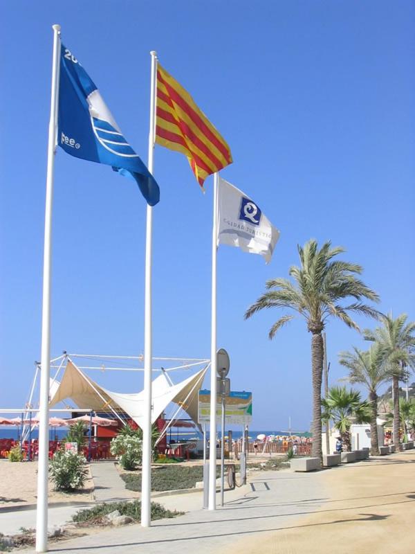Encantador Estudio Apartment Calella Exterior photo