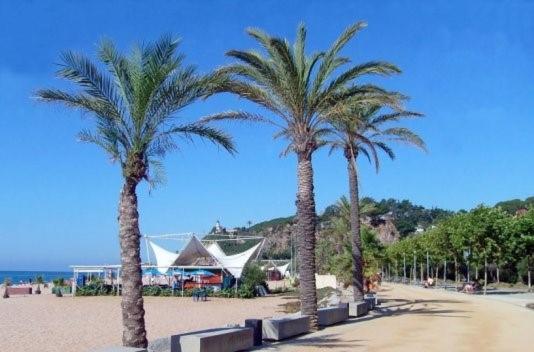 Encantador Estudio Apartment Calella Exterior photo
